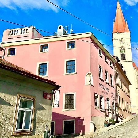 Boutique Apartments U Rolanda Znojmo Dış mekan fotoğraf